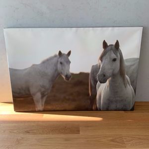 Wall Art horse photography
